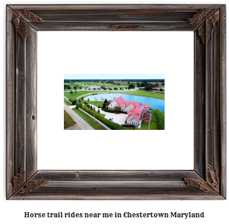 horse trail rides near me in Chestertown, Maryland